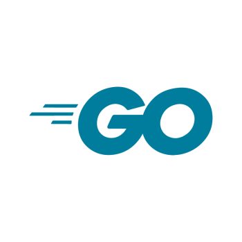 C-Go 1 1080P HD Video Camera EFLA900I